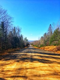 Empty road along trees against clear blue sky