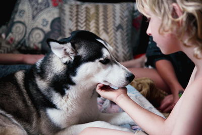 Close-up of boy touching siberian husky dog on bed