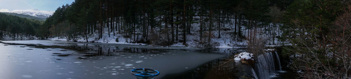 Panoramic shot of trees in forest during winter