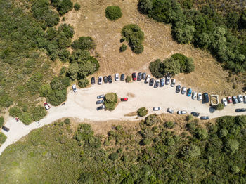 High angle view of cars on road amidst trees