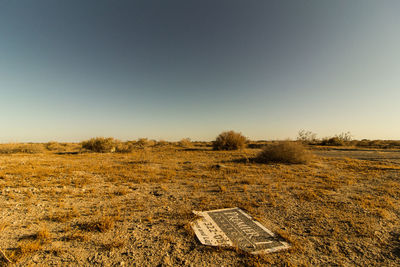 Scenic view of field against clear sky