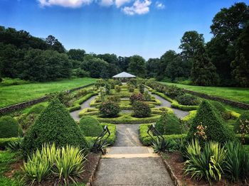 Scenic view of green landscape against sky