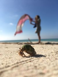 Surface level of herbit crab against woman standing at beach