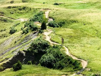 High angle view of trees on landscape