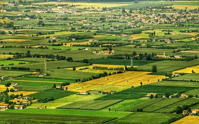 High angle view of agricultural field