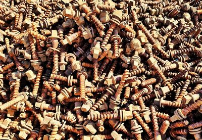 High angle view of bees on wood