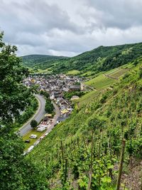 Mosel - germany