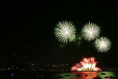 Fireworks exploding in night sky