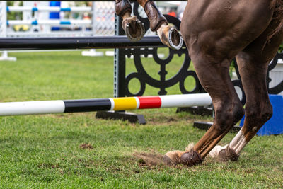 Low section of person riding horse