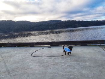 Rear view of man on lake against sky