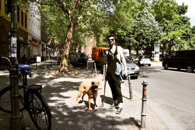 Dog on road