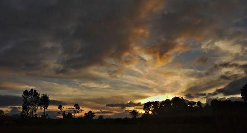 Low angle view of trees against cloudy sky