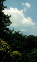 Low angle view of trees against sky