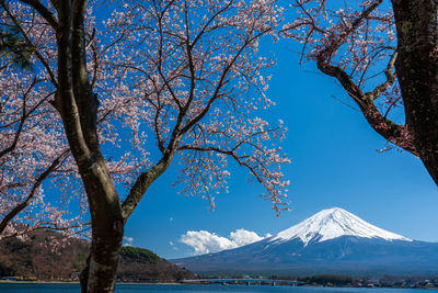 Scenic view of snowcapped mountains against blue sky