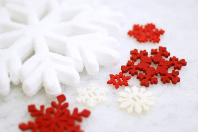 Close-up of flowers on white background