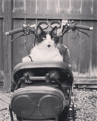 black and white