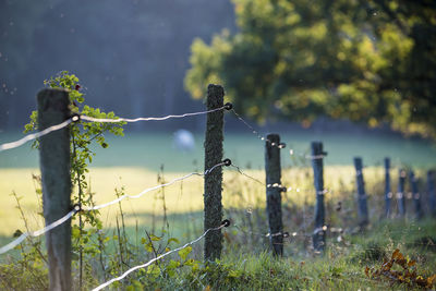 Barbed wire fence on field