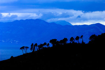 Silhouette trees on landscape against blue sky