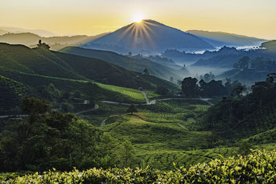 Scenic view of landscape against sky during sunset