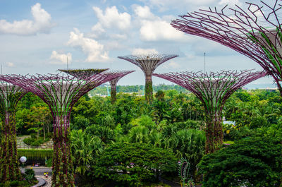 Plants and trees in park against sky