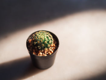 High angle view of drink on table