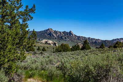 Scenic view of landscape against clear blue sky