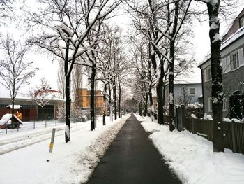 Bare trees on snow covered landscape