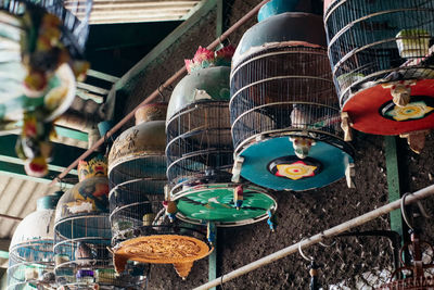 View of birds for sale at market