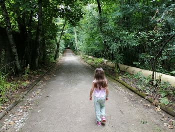 Rear view of woman standing on footpath amidst trees in forest