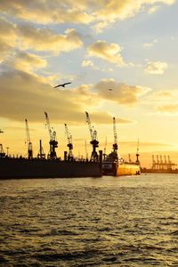 Cranes at commercial dock against sky during sunset