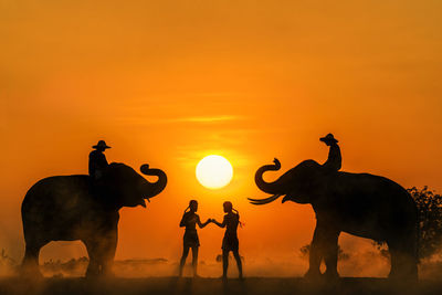 Silhouette men on elephants standing by friends on land during sunset