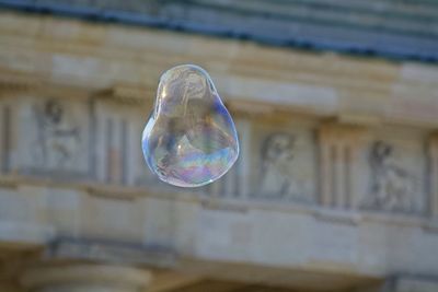 Close-up of bubbles against blurred background