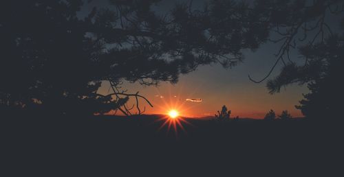Silhouette trees on field against orange sky