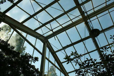 The glass roof of a botanical garden