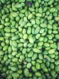 Full frame shot of green beans