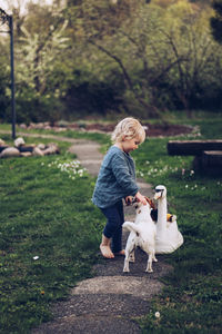 Side view of cute girl playing with dog at park