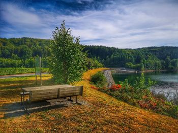 Empty bench by plants by lake against sky