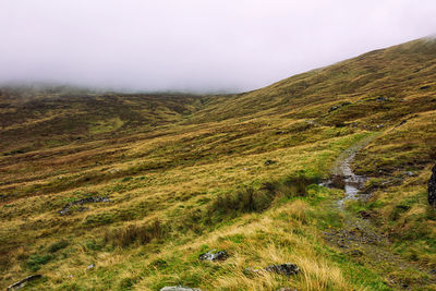 Scenic view of landscape against sky