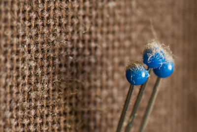 Close-up of blue pins on sack