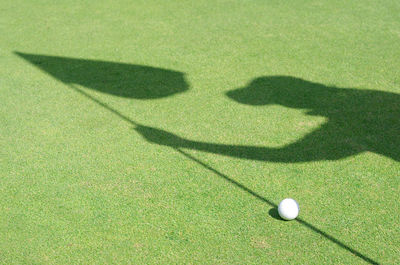 Shadow of man on golf course