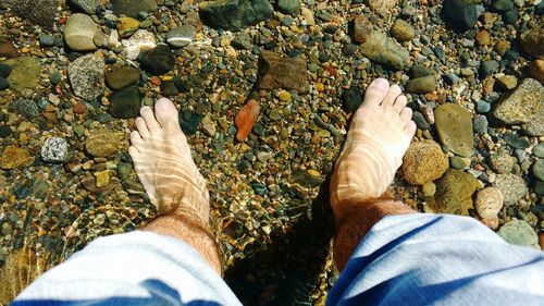 Directly above view of man feet in shallow water