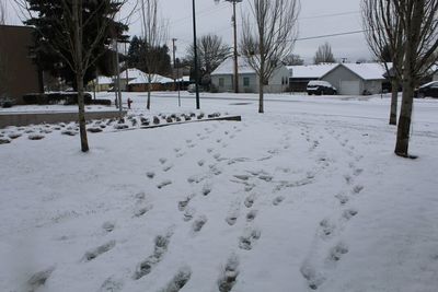 Snow covered field by building