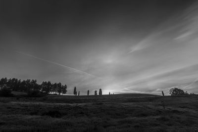 Silhouette trees on field against sky