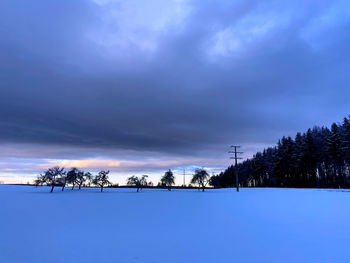 Snow covered land and trees against sky
