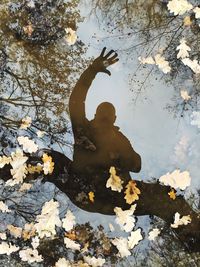 High angle view of leaves floating on lake