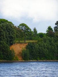 Scenic view of lake against trees in forest against sky