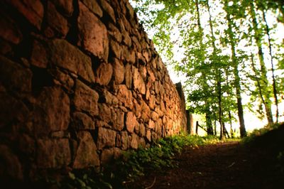 Low angle view of stone wall