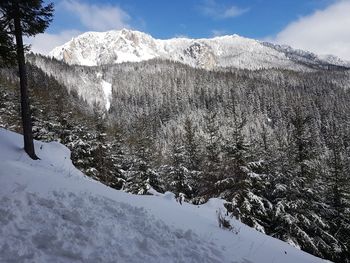 Scenic view of snow covered mountain against sky