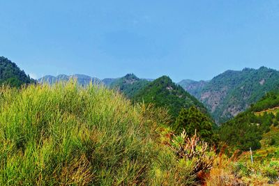 Scenic view of mountains against clear blue sky