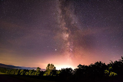 Low angle view of silhouette trees against sky at night